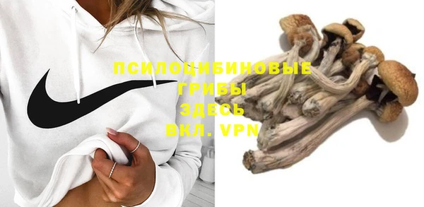 не бодяженный Арсеньев