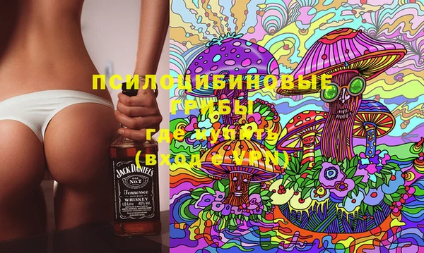 не бодяженный Арсеньев